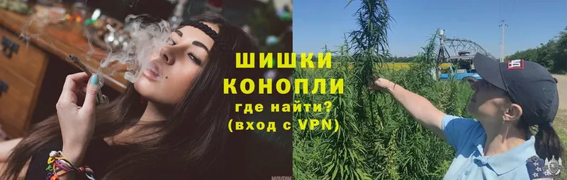 Конопля план  Великий Устюг 